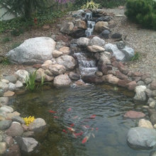 Fish Ponds