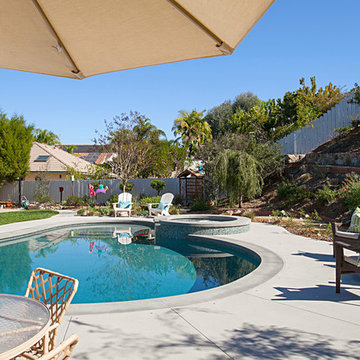 Backyard Dreams