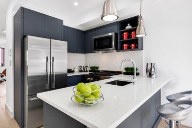 Kitchen - contemporary kitchen idea in New York
