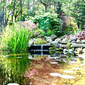 Ponds & Waterfeatures