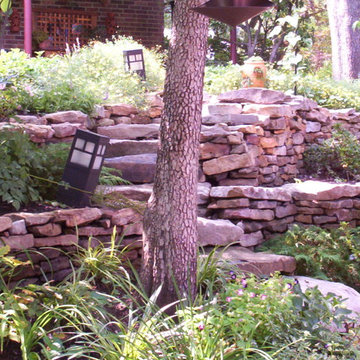 Silver spring sloped side yard