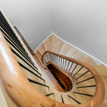 Ravenswood Mid-Century Modern Remodel