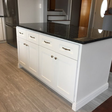 New Kitchen in Western Springs