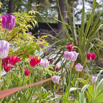 Huf Haus Poole, Dorset