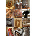 Joan Conroy Interiors Inc.'s profile photo