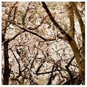 Gil la Hof's photo