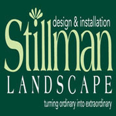 Stillman Landscape