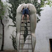 Steve Davis's photo