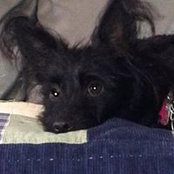 Mary Lewis Luchowski's photo