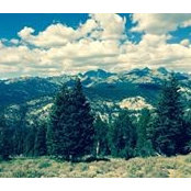 Doris Williams-Reed's photo