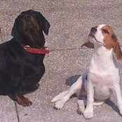 Foto von Ripple Paul