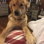 Frances Cervoni-Curet's photo