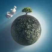 Anne Drolet's photo