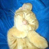 Foto von Kat Wood