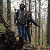 Lydia Greiner's photo