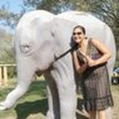 Lani Kapur's photo