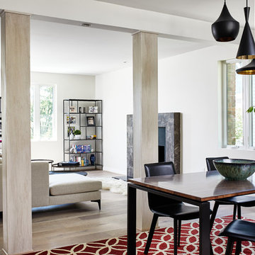 Washington D.C. Contemporary Renovation
