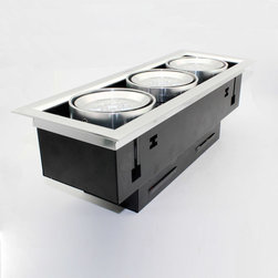 LED down light - Ceiling Lighting