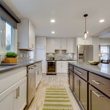 Contemporary Kitchen Remodel Alexandria, VA