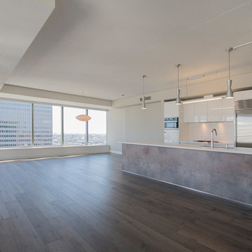 Down Town Chic and Modern Kitchen Remodel