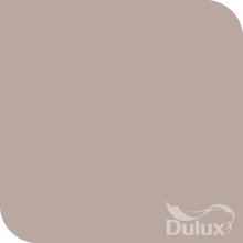 Paint Colors