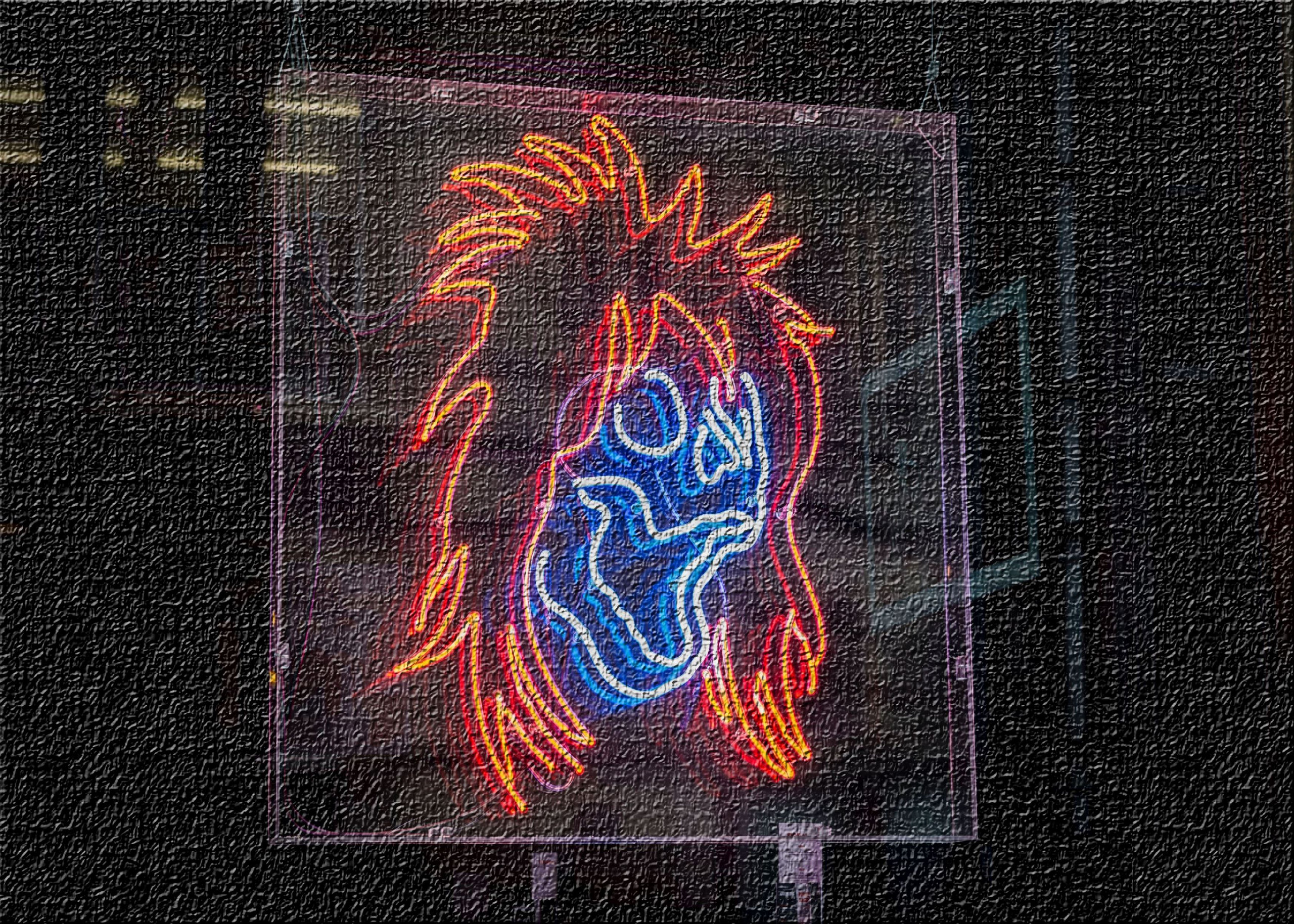 World Of Neon 242 Area Rug, 5'0