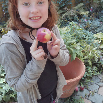 The Year of the Edible Gardens