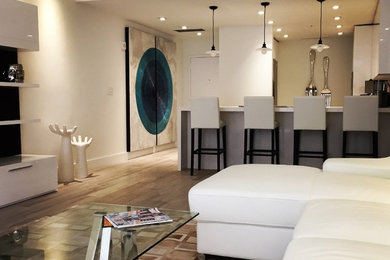 Example of a minimalist living room design in Miami