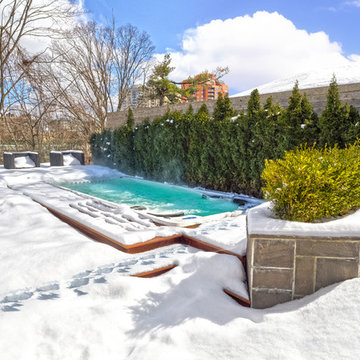 Hydropool Swim Spas
