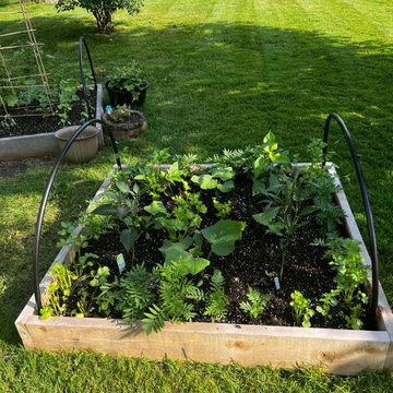 Bryan Drive Garden Refresh