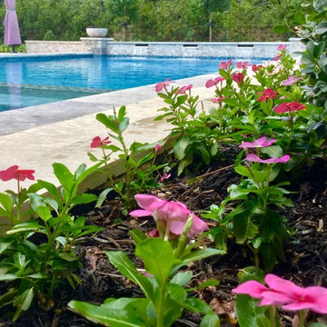 Beautiful Carlton Woods Pool