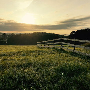 Gates, Arbors, Fences + Other Structures