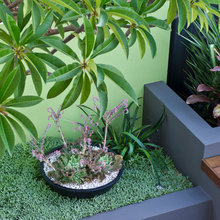 ruert courtyard