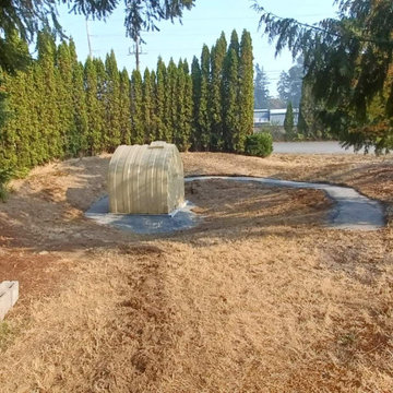 Concrete Walkways and Green House