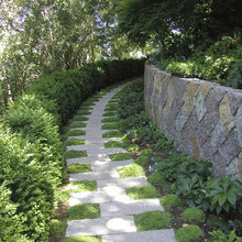 Landscape Ideas