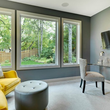 Edina Contemporary Remodel