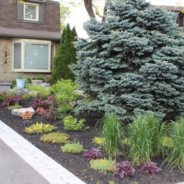 Front yard with no lawn and a lot of curb appeal