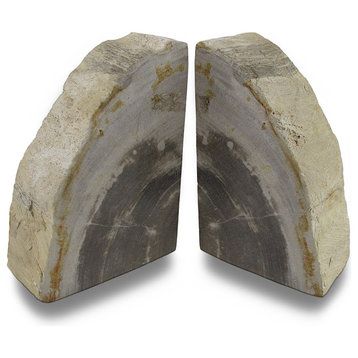 Indonesian Light Colored Petrified Wood Bookends 4-6 Pounds