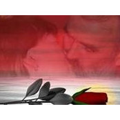 Treasa Lane's photo
