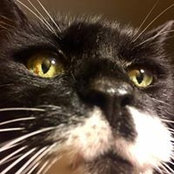 Melissa Spurr's photo