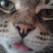 Sheila Scott Blackwell's photo