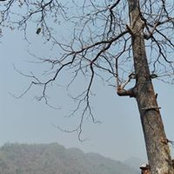 Tunjira Somchanta's photo