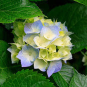 Andrea Schulke's photo