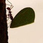 Callie's photo