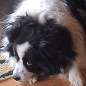 Sharlot Wieland's photo