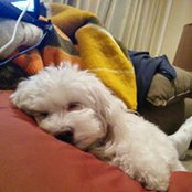 JH Bae's photo