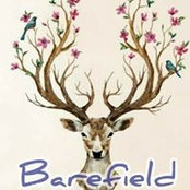 Cara Barefield's photo