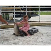 Chris Seichter's photo