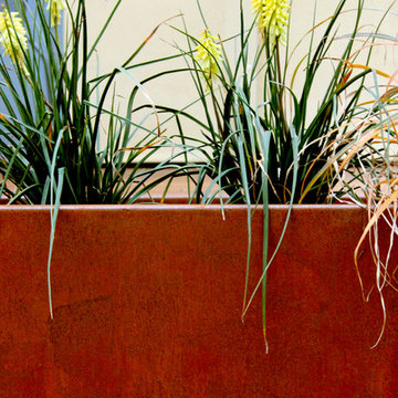 Arlington Contemporary