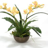 Pale Yellow Cymbidium Orchid Plants with Ferns in Metal Bronze Bowl